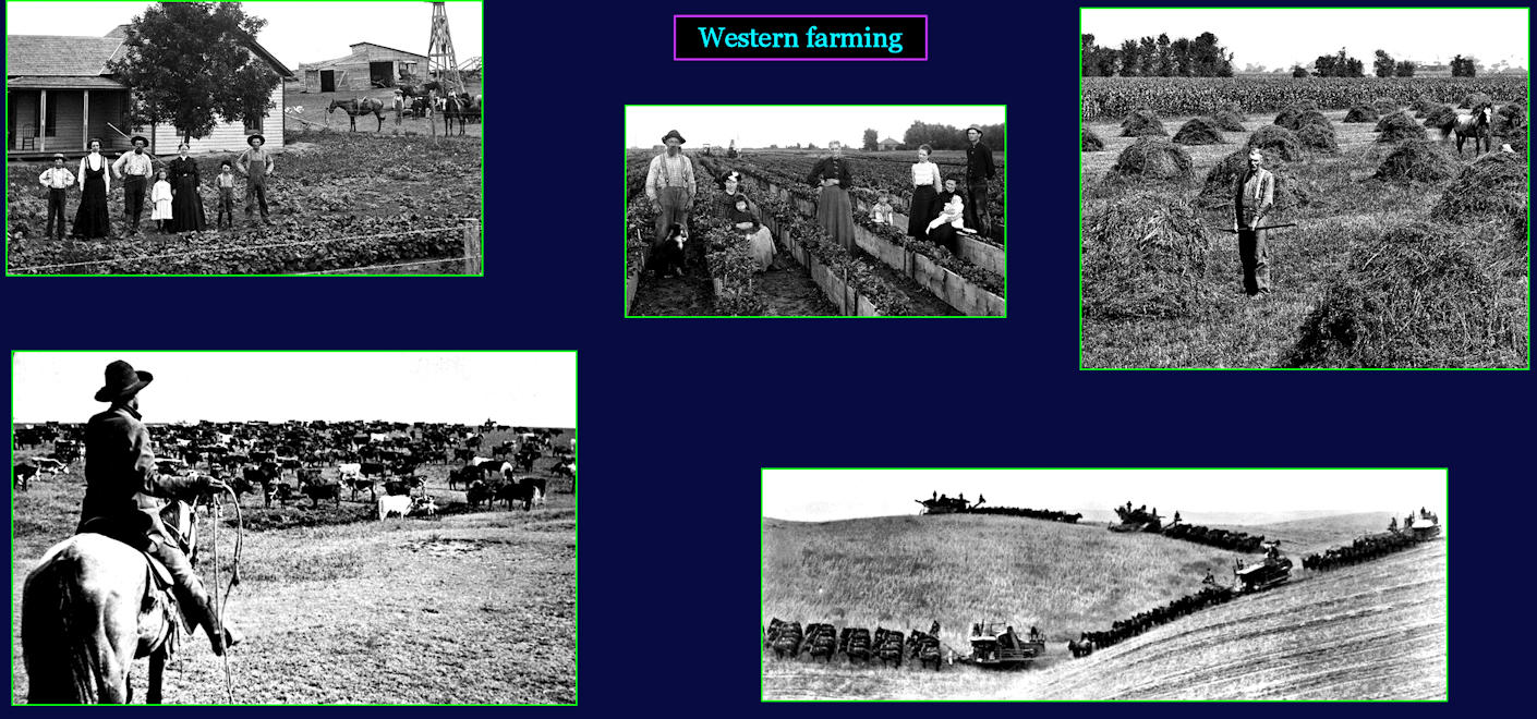 Western farming and ranching, 1910